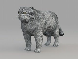 野生动物猫咪C4D模型