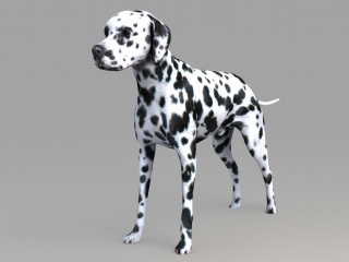 斑点狗C4D模型