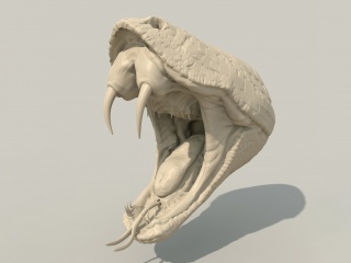 怪物头骨C4D模型