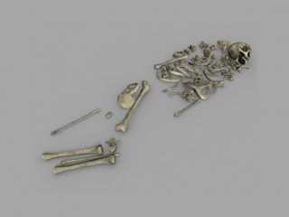 现代人物头骨C4D模型