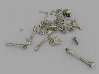 现代人体骨骼C4D模型