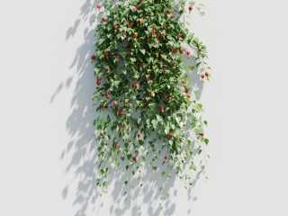 植物花墙C4D模型