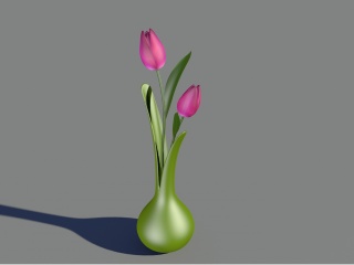 现代植物花瓶C4D模型