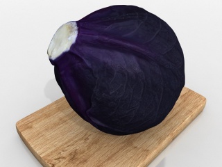 蔬菜紫甘蓝C4D模型