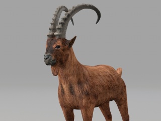 现代野生动物羚羊C4D模型