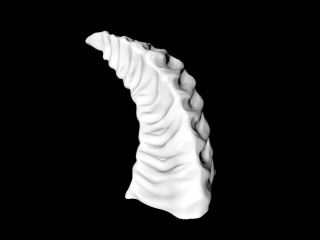 石膏雕塑骨骼C4D模型