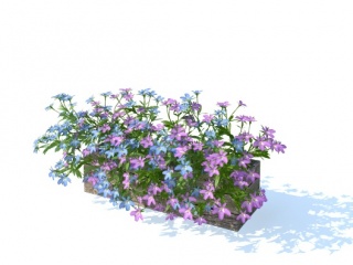 现代植物花盆C4D模型