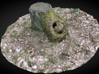 现代枯木树桩C4D模型