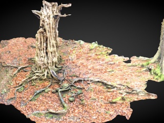 现代枯木树桩C4D模型
