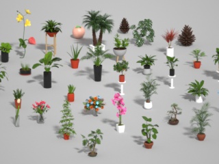 多款植物水果C4D模型