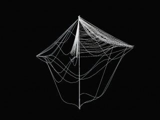蜘蛛网C4D模型