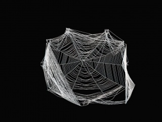 蜘蛛网C4D模型
