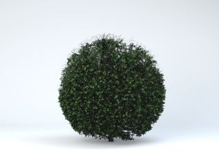 绿色树球C4D模型