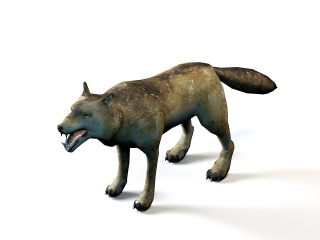 野狼C4D模型