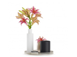 现代家居装饰品花瓶C4D模型