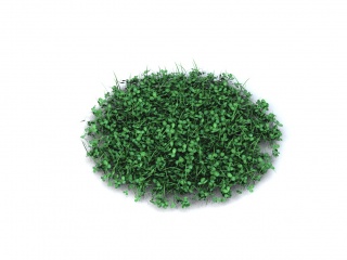 现代绿植植物C4D模型