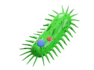 卡通医疗实验图标病毒细胞C4D模型