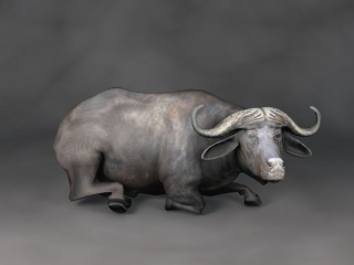 现代野生动物犀牛C4D模型
