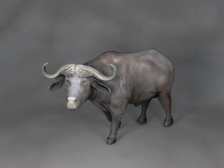 现代野生动物犀牛C4D模型
