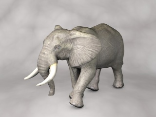 现代野生动物大象C4D模型