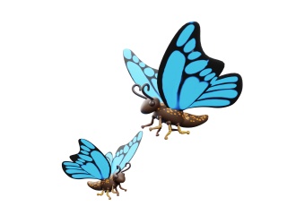 昆虫蝴蝶C4D模型