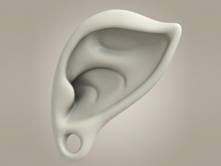 怪兽耳朵C4D模型