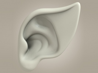 人体部位怪兽耳朵C4D模型