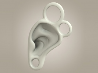 器官耳朵C4D模型