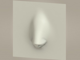 鼻子人体器官C4D模型