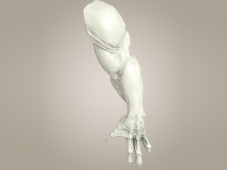 怪物手臂C4D模型