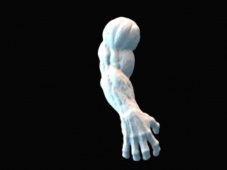 游戏生物手臂C4D模型