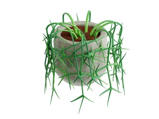 卡通绿植植物现代室内绿植盆栽利普萨利斯仙人掌绿萝吊篮C4D模型