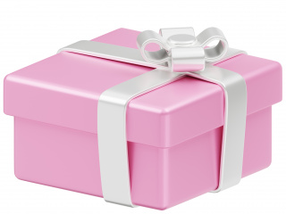 精致礼物盒礼品盒粉色正方形扁盒子C4D模型