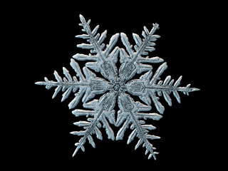 冬季雪景放大结晶雪花C4D模型