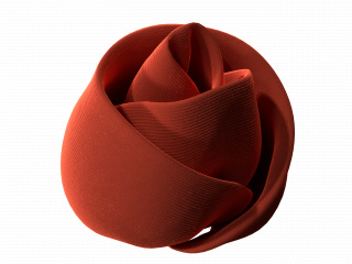 花朵立体红色玫瑰花花瓣C4D模型
