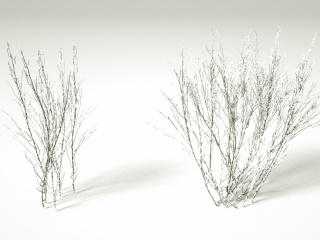 带雪的枯木C4D模型