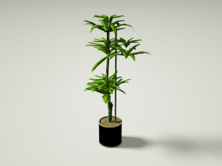 植物绿植盆栽C4D模型