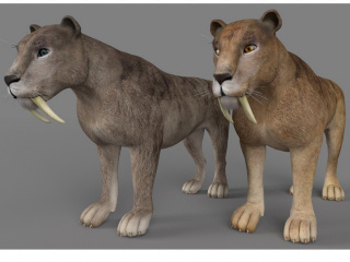 卡通野生动物剑齿狮C4D模型