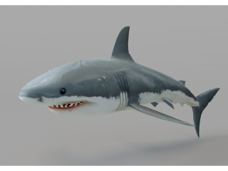 卡通海洋动物鲨鱼C4D模型