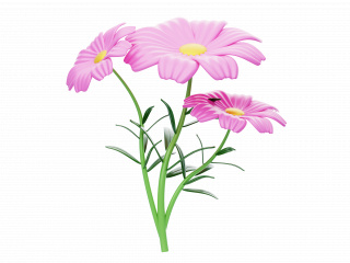 卡通植物花草鲜花花朵花瓣C4D模型
