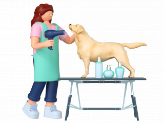 立体宠物美容医疗护理C4D模型