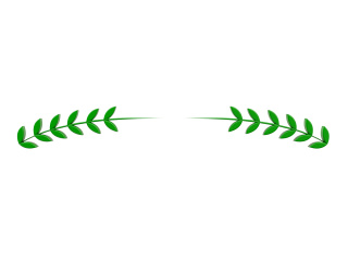 立体分割线绿色植物C4D模型