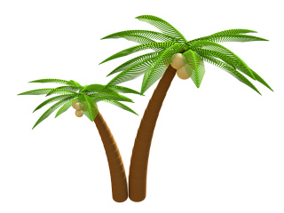 立体夏季椰子树植物C4D模型