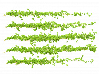 立体藤蔓绿植边框C4D模型