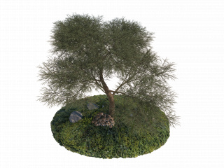立体植物花草树木小场景C4D模型