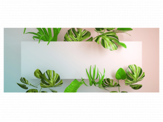 立体创意绿色植物背景C4D模型