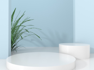 立体简约小清新蓝色植物展台C4D模型