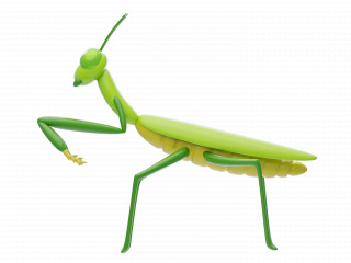 立体绿色蚂蚱C4D模型