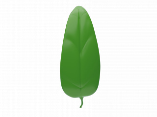 自然植物立体绿色树叶C4D模型