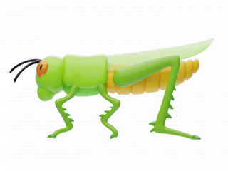 立体绿色蚂蚱C4D模型